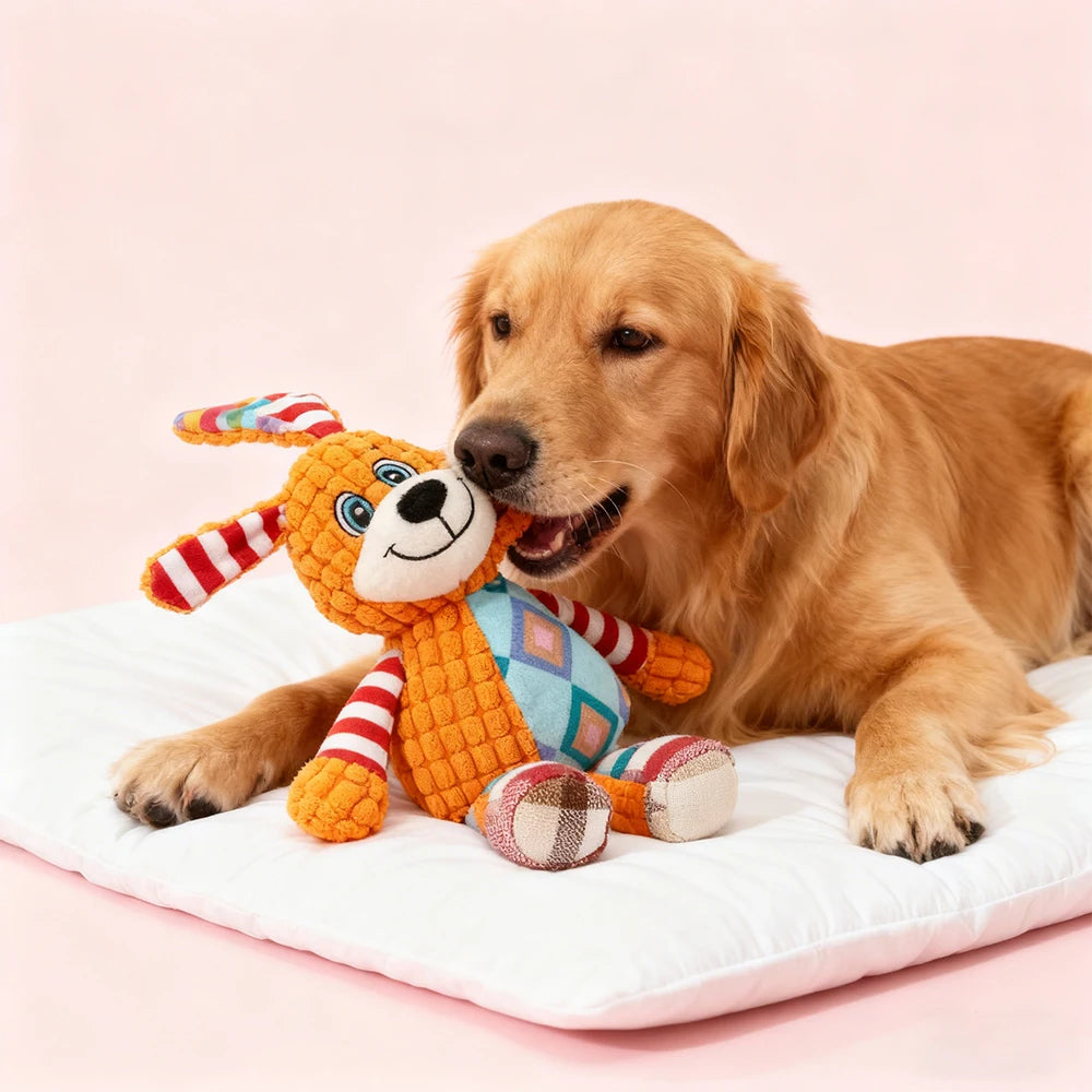Interactive Pet Toy