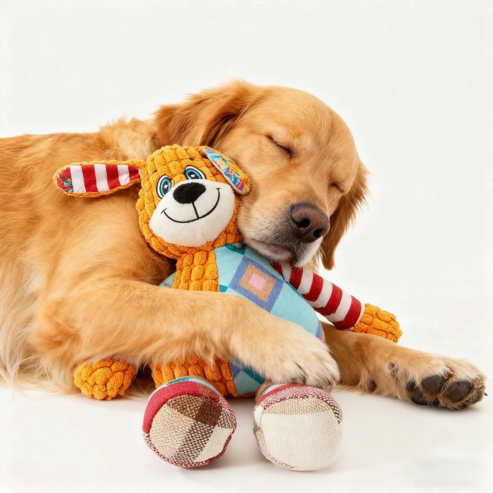 Interactive Pet Toy