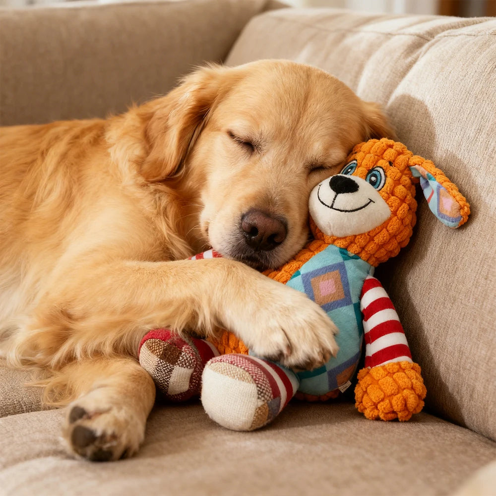 Interactive Pet Toy