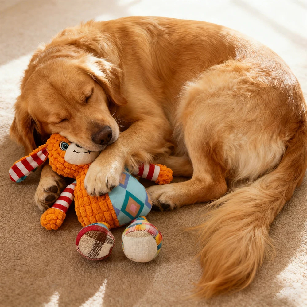 Interactive Pet Toy