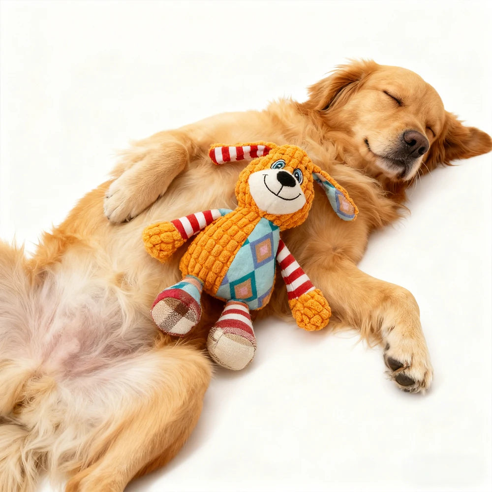 Interactive Pet Toy